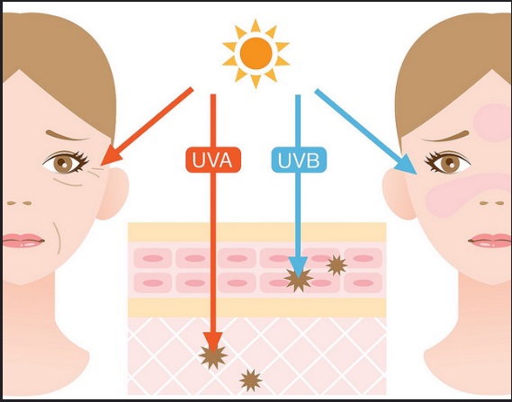 Tác động của tia UVA/UVB đối với làn da của chúng ta như thế nào?