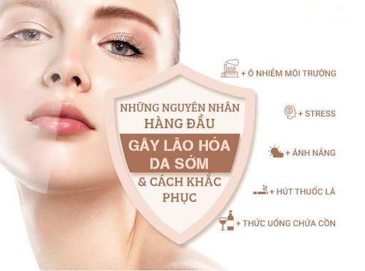 Top 3 kem dưỡng da chống lão hóa tốt hiện nay 1